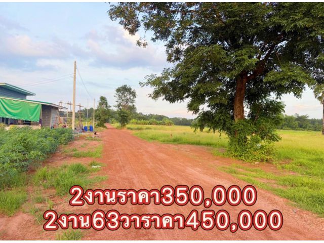 ขายที่ดิน2งานราคาเงินสด350,000บาทบ้านหนองช้างลง ต กบินทร์ อ กบินทร์บุรี จ ปราจีนบุรี