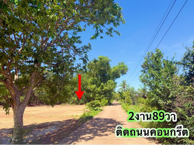 ขายที่ดิน2งาน89วาราคา465,000บาทใกล้เครือสหพัสกบินทร์บุรี4กิโล ต นนทรี อ กบินทร์บุรี จ ปราจีนบุรี