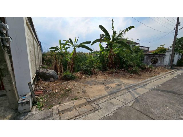 ขายด่วนที่ดินถนนเลี่ยงเมืองปากเกร็ด 96 ตรว ติดถนนสาธารณะปากเกร็ด นนทบุรี