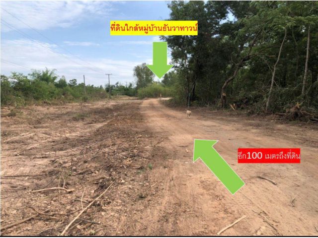 ที่ดิน 231 ตรว. ใกล้ ม.ธันวาทาวน์ [6]