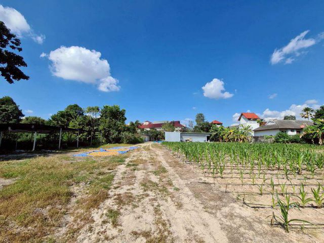 ที่ดินติดถนน ตรงข้ามคณะสัตวศาสตร์ ม.แม่โจ้ ราคาถูก