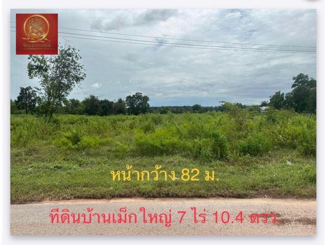 ที่ดิน 7 ไร่ บ้านเม็กใหญ่ ต.หนองเม็ก อ.หนองหาน จ.อุดรธานี [19]