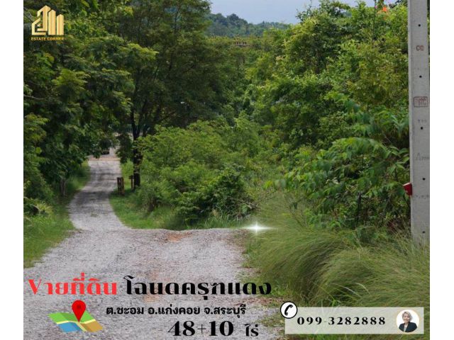 ขายที่ดินเปล่า ติดรีสอร์ทสไตล์อังกฤษ ต.ชะอม อ.แก่งคอย จ.สระบุรี