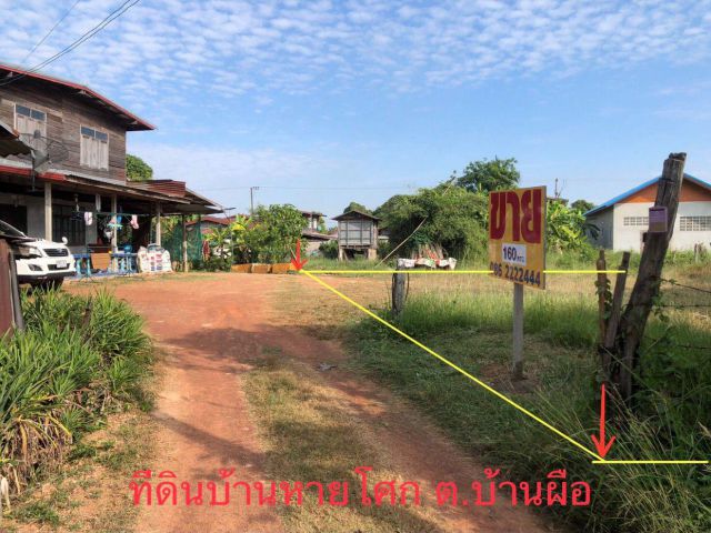 ที่ดิน 114 ตรว บ้านหายโศก ต.หายโศก  อ.บ้านผือ จ.อุดรธานี [20]