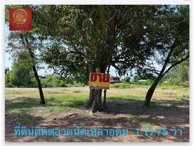 ที่ดิน 1 ไร่ 75 ตรว ติดตลาดนัดเหล่าอุดม ต.บ้านจันทน์  อ.บ้านดุง อุดรธานี [23]
