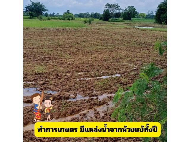 ขายที่ดินราคาถูก
