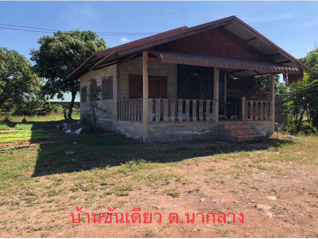 ที่ดิน 200 ตรว พร้อมบ้านชั้นเดียว ติดถนน นากลาง-ศรีบุญเรือง {28}