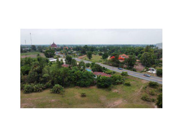 ขายที่ดิน 82 ไร่ ติดถนนหันคา–บ้านไร่ ต.สุขเดือนห้า อ.เนินขาม จ.ชัยนาท