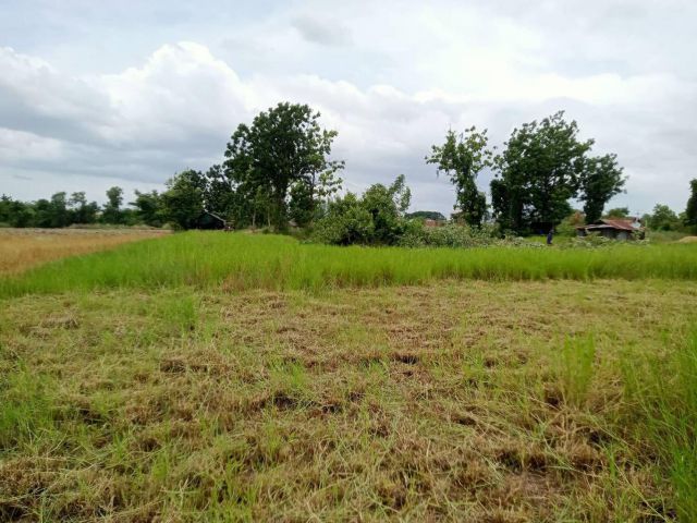 L1233 ขายที่ดิน 4 ไร่ เมืองราชบุรี