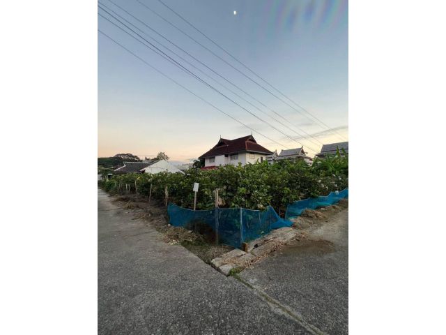 ขายที่ดินตำบลหนองจ๊อมสันทรายตรงข้ามโรงเรียนต้นเกล้า