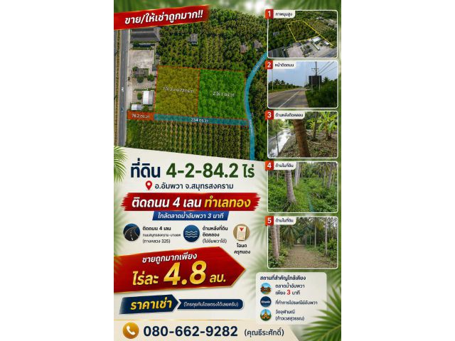 ขาย/ให้เช่าถูกมาก!! ที่ดิน 4-2-84.2 ไร่ ติดถนน 4 เลน ทำเลทอง อ.อัมพวา จ.สมุทรสงคราม ใกล้ตลาดน้ำอัมพวา 3 นาที