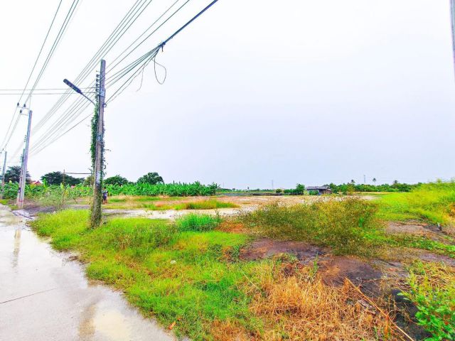 ขานที่ดินนนทบุรีราคาถูก