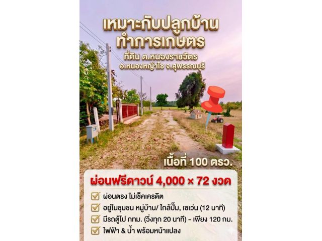 ที่ดิน หนองหญ้าไช สุพรรณบุรี สด ผ่อนได้