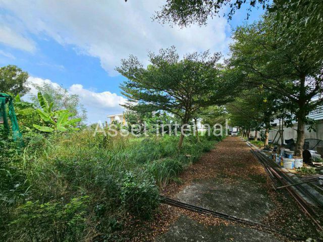 ขาย ที่ดิน 1 ไร่ แปลงสวย ถมแล้ว มีรั้ว ถนนบึงขวาง 3 แขวงแสนแสบ เขตมีนบุรี กรุงเทพมหานคร