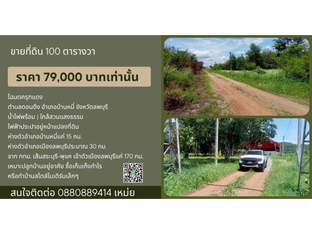 ที่ดิน บ้านหมี่ ลพบุรี ขนาด 100 ตร.วา