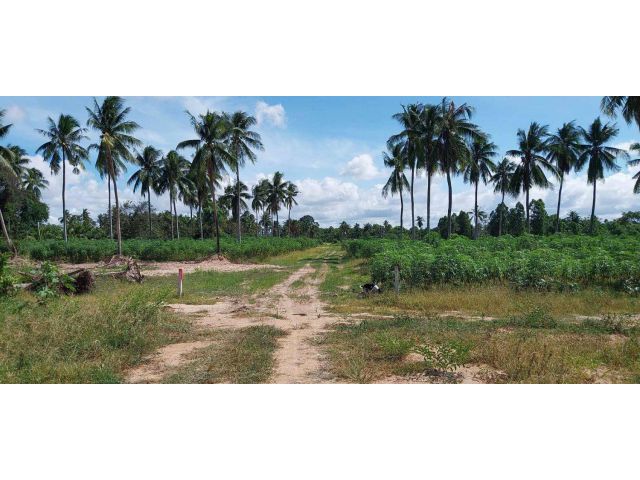 L1246 ขายที่ดิน 2 ไร่ บางละมุง ชลบุรี