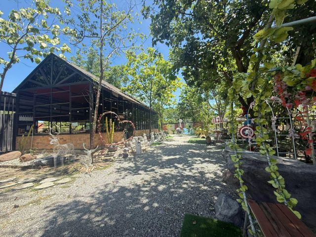 ขายที่ดินมาบไผ่ 12 ไร่ ติดถนนคอนกรีต ใกล้โรบินสัน-7กม. อ.บ้านบึง ชลบุรี