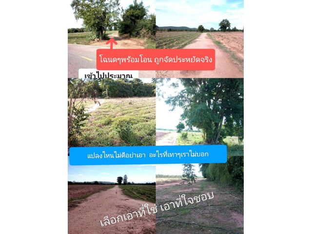 แล้วจะรู้แล้วจะรักเป็นที่พักพิง หากได้มาพบเห็นสักครั้งก็ยังดี ที่ทำกินถิ่นที่อาศัยไม่แพ้แปลงใดในราคานี้