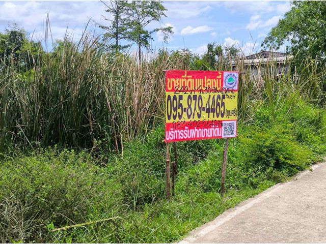 ขายที่ดินใกล้ตลาดรุ่งตะวัน 242 ตรว ติดถนนสาธารณะ ซ.โต๊ะยำ บางบัวทอง นนทบุรี