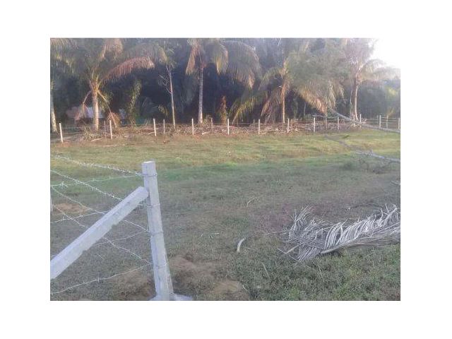 ขายที่ดิน 3 งาน ต.หาดสำราญ อ.หาดสำราญ จ.ตรัง