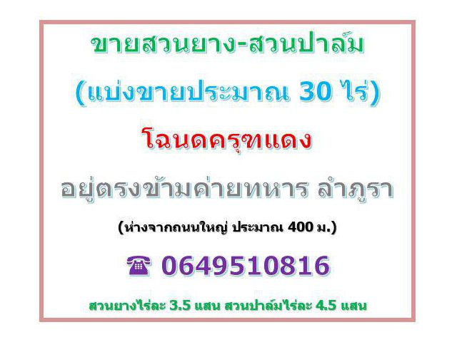 ขายสวนยาง-สวนปาล์ม