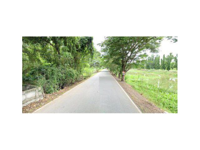 ขายที่ดิน 49 ไร่ คลองสิบ ใกล้โรงพยาบาลหนองเสือ อ.หนองเสือ จ.ปทุมธานี