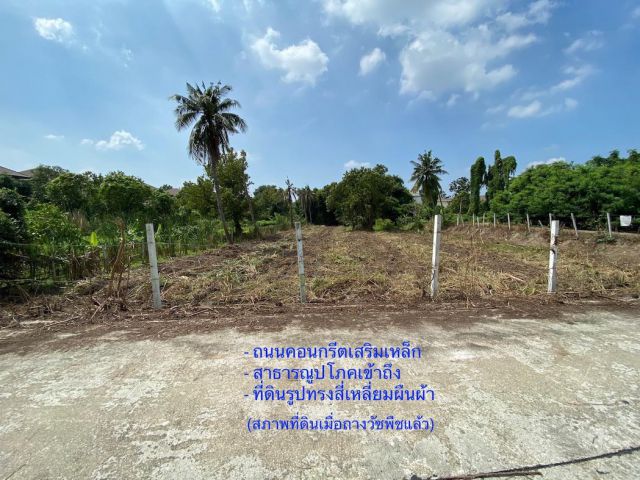 ขายที่ดิน 600 ตร.ว. หน้ากว้าง 31 ม. บางใหญ่-บางคูลัด ใกล้รพ.บางใหญ่ และM81|โฉนดครุฑแดง|เหมาะพัฒนาโครงการและลงทุนระยะยาว