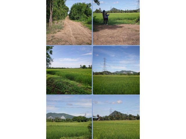 ที่นาสวยๆ วิวเขา