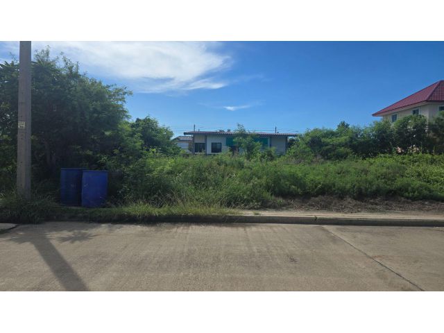 ขายที่ดินเปล่า