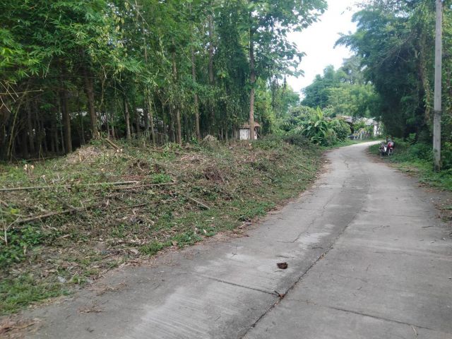 ที่สวนแถวต.สะลวง แม่ริม ร่มรื่น ถมแล้ว หน้ากว้างๆ ติดถนน ไฟฟ้า และประปาถึง 1 ไร่ เพียง 1 ล้าน