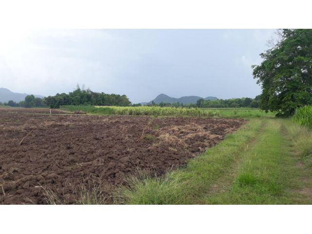 ขายที่ดินใกล้อำเภไทรโยคไร่ละ2.1แสน