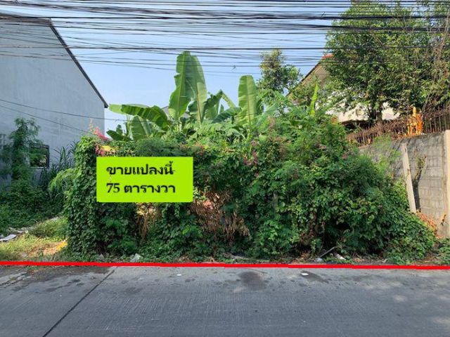 ขายที่ดิน ใกล้รถไฟฟ้าสายสีชมพู ซ.รามอินทรา 65 แยก 2 ขนาด 75 ตารางวา เหมาะสร้างบ้านพักอาศัย