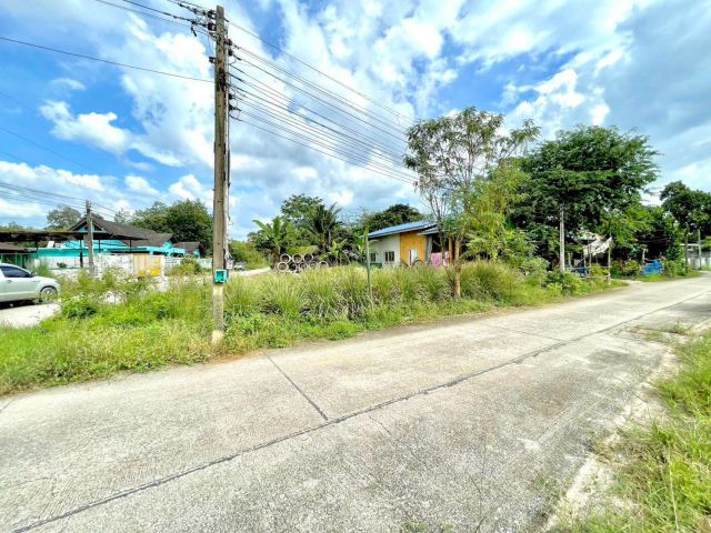 ขายที่ดินตาขันถมแล้ว 54 ตรว. ติดถนน2ด้าน เข้าซอยจากถ.4เลนเชิงเนิน-ชากบก-430เมตร อ.บ้านค่าย ระย