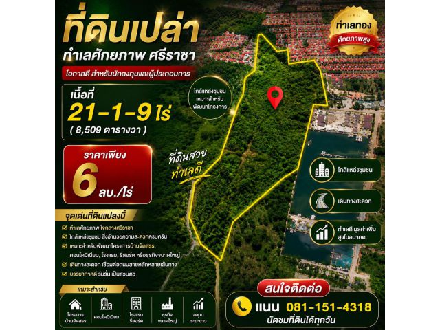 ที่ดินแปลงใหญ่ 21-1-9 ไร่ ศรีราชา ทำเลทอง