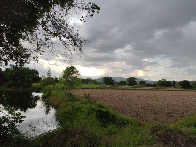 ที่ดินสวนเกษตร2ไร่