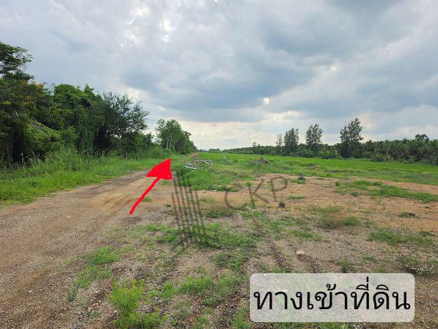 ขาย ที่ดินเปล่า ขนาด 2 ไร่ 259 ตร.วา เหมาะสำหรับทำการเกษตร ปลูกบ้านพักอาศัย โกดังจัดสรร | 93359