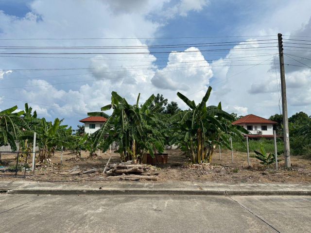 ขายที่ดิน 108 ตร.ว. ม.เชียงใหม่วิวดอย (หนองควาย - หางดง)(ทางเข้าอยู่ระหว่าง ต.โฮม และศูนย์มิตซูบิชิ หางดง)