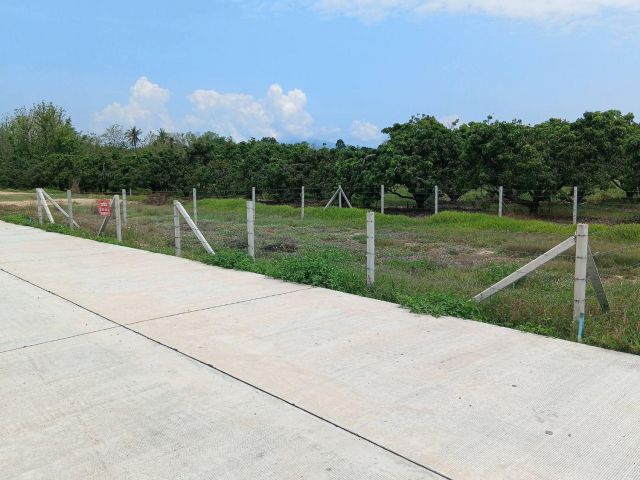 ขายที่ดินตำบลขัวมุงสารภีติดถนนคอนกรีตพร้อมโอน