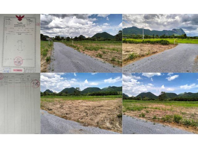ลดเหลือเพียง 190,000 บาทที่ดินโฉนดพร้อมโอน 218 ตรว. ต.ผานกเค้า อ.ภูกระดึง จ.เลย