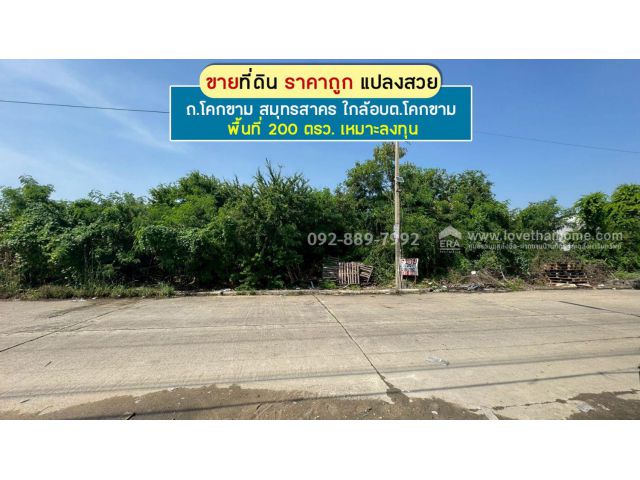 ขายที่ดิน ถนนโคกขาม สมุทรสาคร แปลงสวย พื้นที่ 200 ตรว. ราคาถูก ใกล้อบต.โคกขาม เหมาะลงทุน