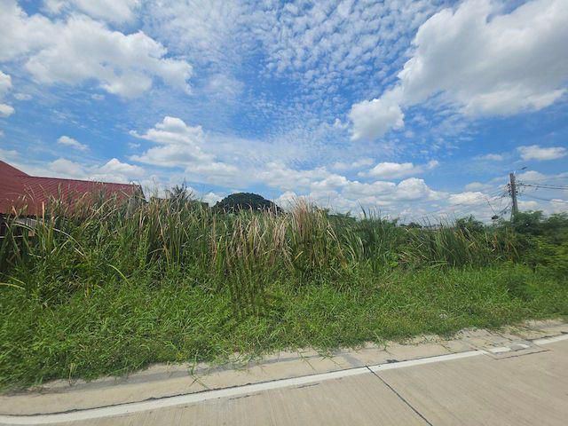 ให้เช่า ที่ดินเปล่า ขนาด 276 ตร.วา ติดถนนคอนกรีต เหมาะกับสร้างที่พักอาศัยหรือโกดัง ใกล้ถนนใหญ่และห้างสรรพสินค้า | 93382