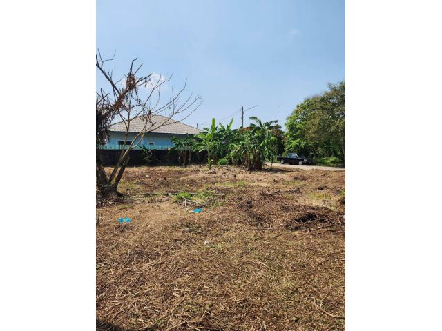 L1270 ขายที่ดิน 96 ตรว บางละมุง ชลบุรี