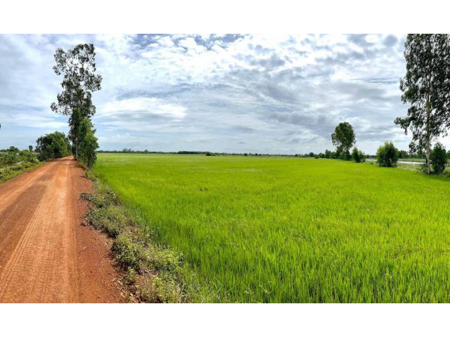 L1272 ขายที่นา 28 ไร่ หน้ากว้าง 363 เมตร พนมสารคาม ฉะเชิงเทรา