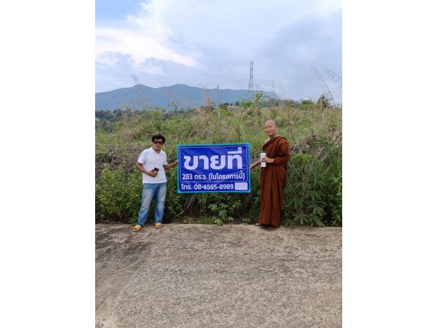 ขายที่ดิน283ตรว.วิวภูเขาเหมาะสร้างบ้านใกล้เซเว่น  ต.แคมป์สนอ.เขาค้อ จ.เพชรบูรณ์