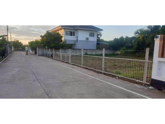 ขายที่ดินตำบลยางเนิ้งสารภีติดถนนทำเลดีพร้อมโอน
