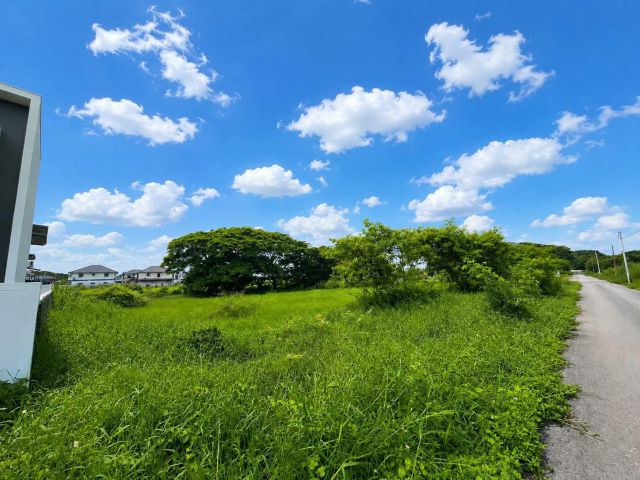 ขายที่ดินตำบลหนองจ๊อมสันทรายห่างถนนหลัก 500เมตร