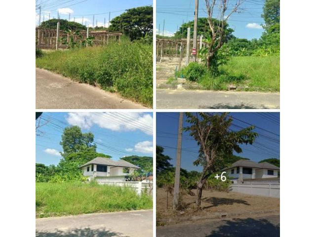 ขายที่ดินตำบลแม่เหียะในโครงการนิมมารดีพร้อมโอน