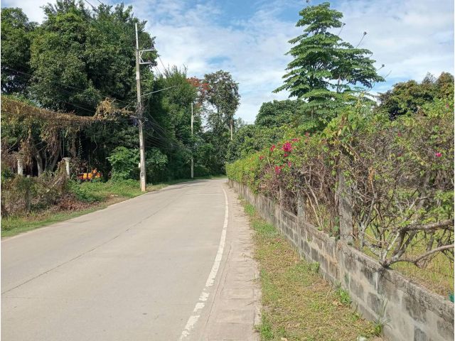 ขายที่ดินตำบลน้ำแพร่หางดงติดถนนสองด้านพร้อมโอน