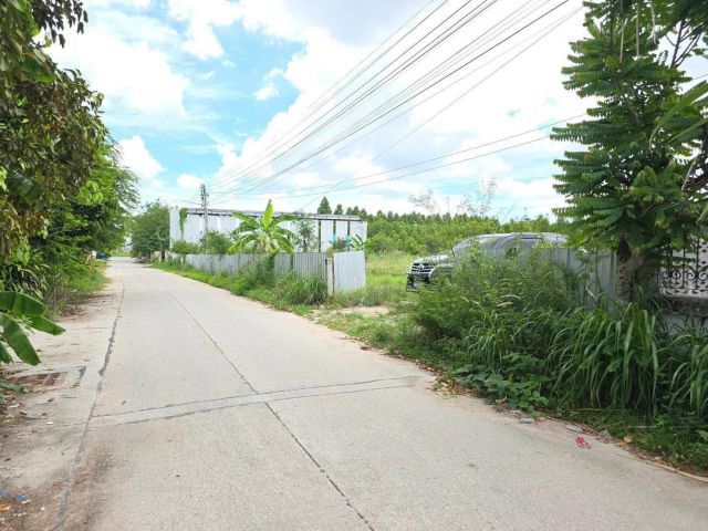 ขายที่ดินมาบโป่ง 2 ไร่ ซอยหนองกาน้ำ ติดถนนคอนกรีตใกล้นิคมอมตะ-10กม. อ.พานทอง ชลบุรี