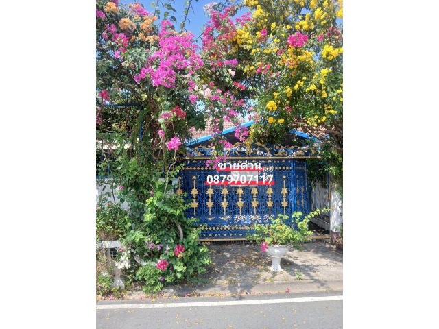 ■□■□■ขายบ้านชั้นเดียว เนื้อที่ 45 ตร.ว■ของในบ้านยกให้หมด■□■□■